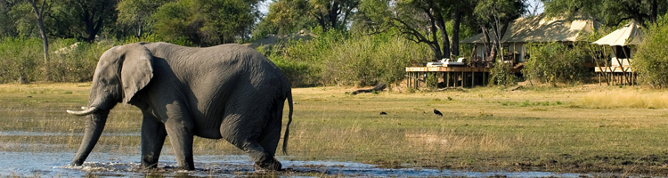 Rondreizen Botswana