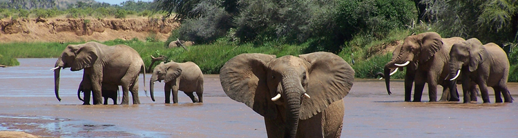 Rondreizen Kenia