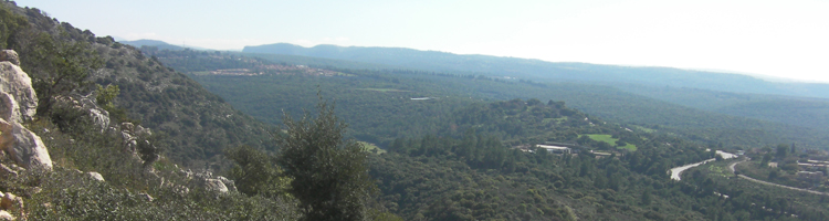 Rondreizen Libanon