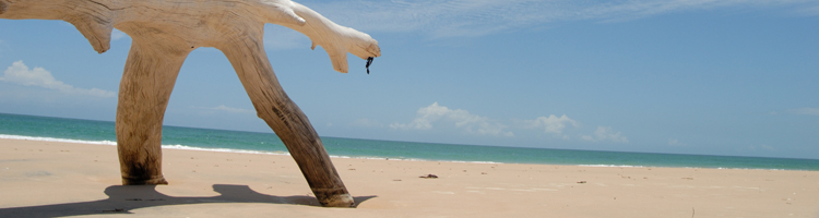 Rondreizen Mozambique