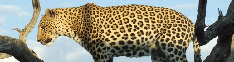 Rondreizen Namibië