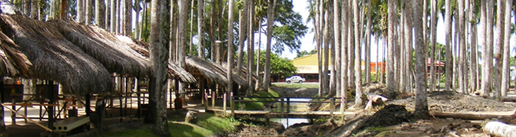 Rondreizen Suriname