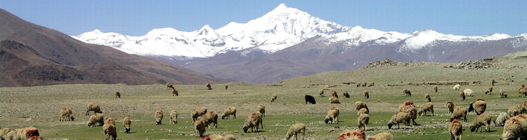 Rondreizen Tibet