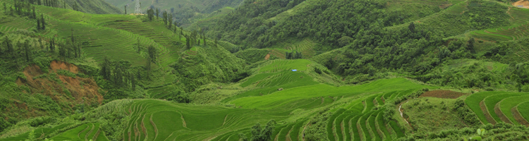 Rondreizen Vietnam